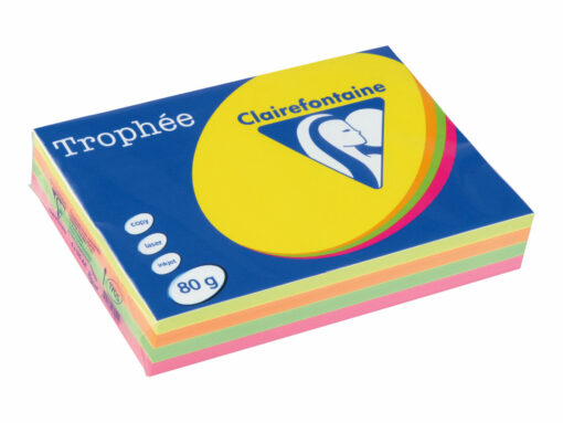 Papier Couleur - A4 (210 X 297 Mm) - 80 G/M² - 500 Feuilles - Coloris Fluos Assortis