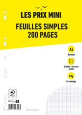 Fm Perf 200P Prix Mini A4 Seyes 70G